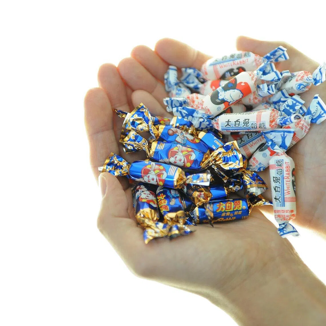 White Rabbit candy and Golden Rabbit Creamy Candy, differentiated by its shiny, blue-and-gold wrapper.