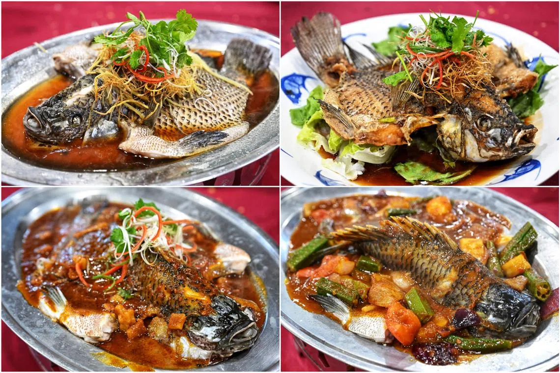 (Clockwise from top left) Steamed Hong Kong style, deep fried, steamed with soy bean paste and assam tilapia at Ming Kitchen Seafood.