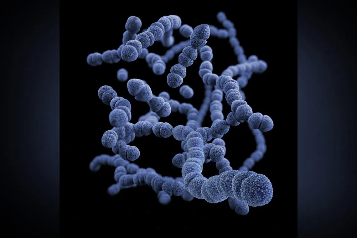 More than a million people died from the superbugs a year across the world between 1990 and 2021.