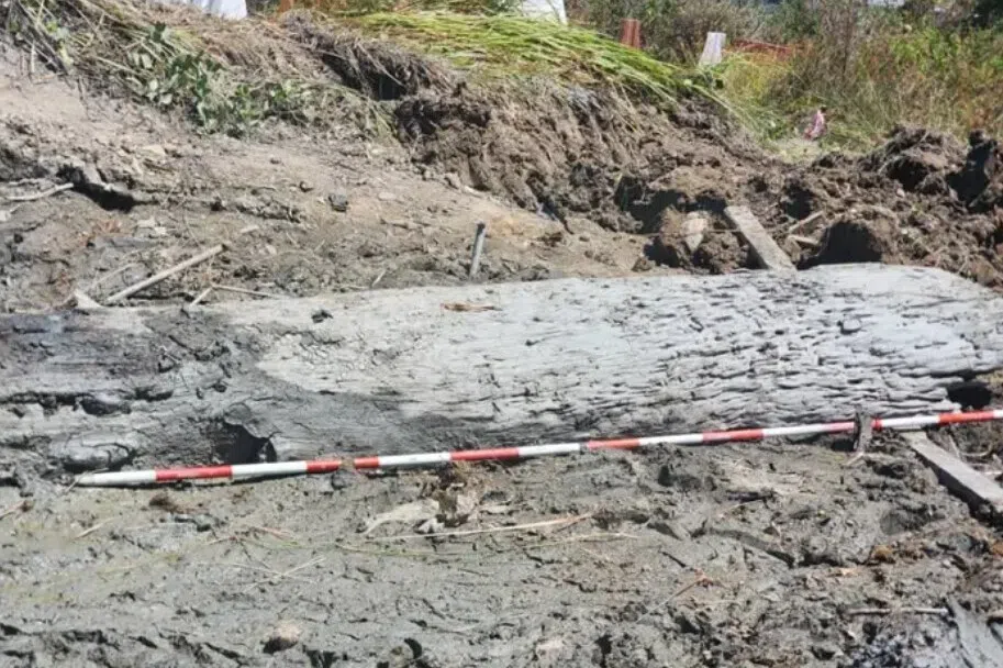 Preliminary studies revealed the ship was made of saga wood.