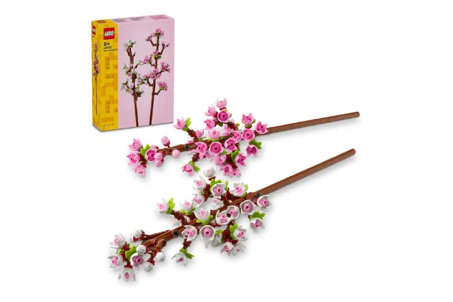 Best Valentine’s Day gift ideas: LEGO Botanicals Cherry Blossoms