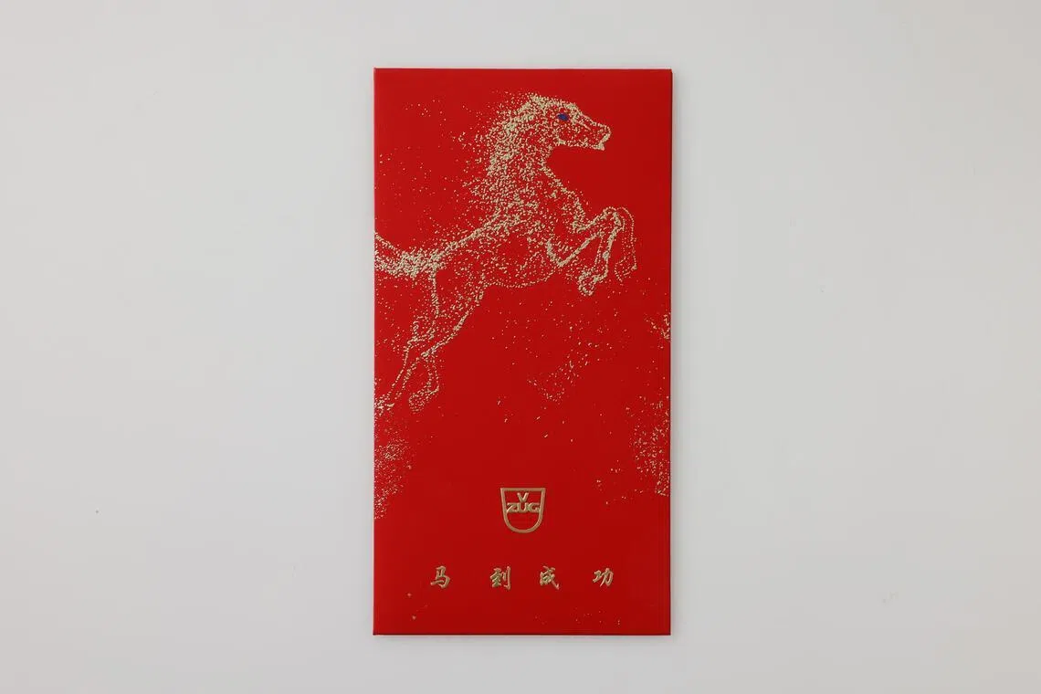 Pacote vermelho de V Zug.