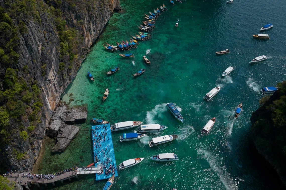 Tourists arrive for an hour-long visit to Maya Bay beach, through a new pier constructed over a reef in Loh Samah Bay beach, at the Phi Phi Island National Park on Feb 25. With the number of sharks in Maya Bay already dwindling, authorities and conservationists are intent on keeping tourists from swimming in the bay and driving away the baby sharks, which hide in the shallows and coral reefs from the cannibalistic adults. 