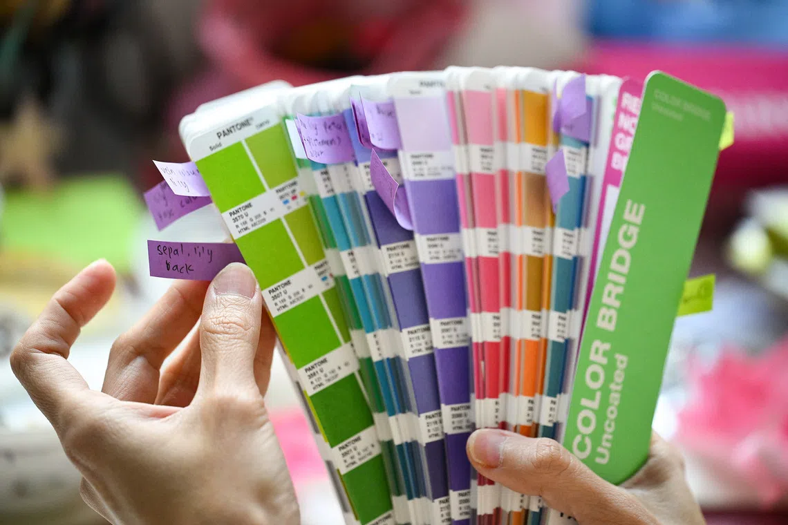 ST20260727-202621200856-Lim Yaohui-yhpeili/ Paper artist Koh Pei Li selecting colours using a pantones chart for her for contractors to match the paint to use on giant versions of her art pieces for this year's Lilytopia floral display for Gardens by the Bay, on July 27, 2026. Paper artist Pei Li has been invited to participate in Homo Faber 2026 in Venice, one of the world's leading exhibitions celebrating exceptional craftsmanship. Taking place during the same period as the Venice Biennale, Homo Faber brings together master artisans from around the world. During the invitation only opening program from 28 to 31 August, Pei Li will be presenting a live demonstration of her craft and exhibiting one of her botanical sculptures, before the exhibition opens to the public on 1 September. The floral sculptures from her installation at Cavenagh Bridge for ACM are currently being repurposed and will be relocated as a permanent installation within ACM, with the installation expected in late July or early August. Around the same time, she will also be creating this year's Lilytopia floral installations for Gardens by the Bay before travelling to Venice at the end of August for Homo Faber. (ST PHOTO: LIM YAOHUI)