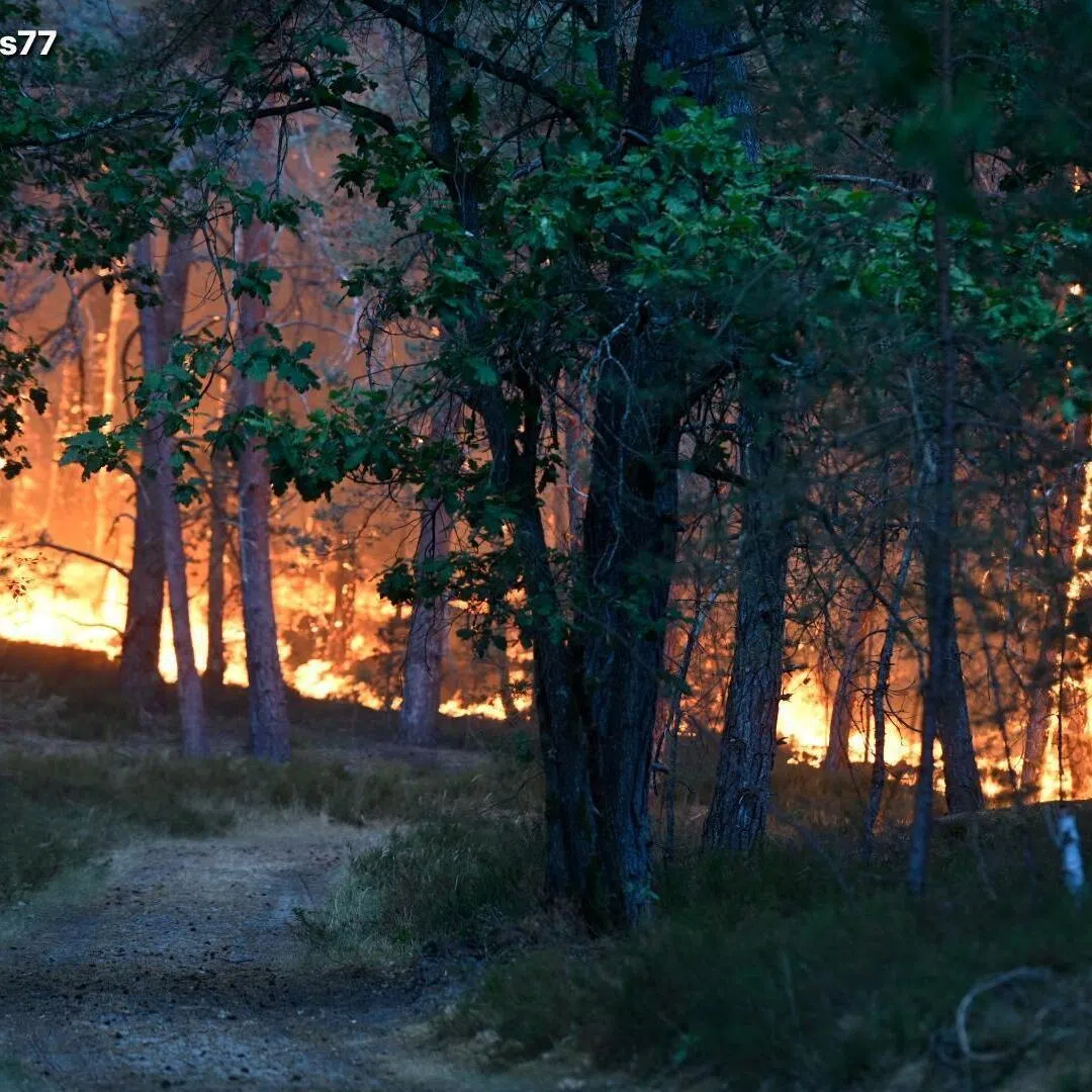The fire had raced across 800ha and was still spreading, officials said.