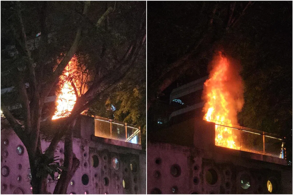 The SCDF said it is investigating the cause of a fire that happened at Design Orchard on the evening of Nov 23.