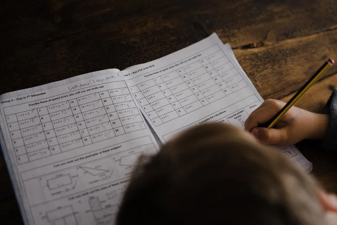 The lawmaker also pointed to the disparity between the rich and poor in completing school tasks.