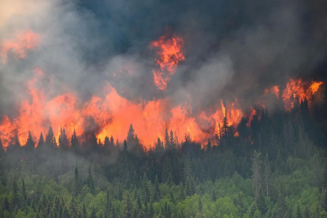 Canada has a very carbon-intensive economy, so many are resistant to climate policy. 