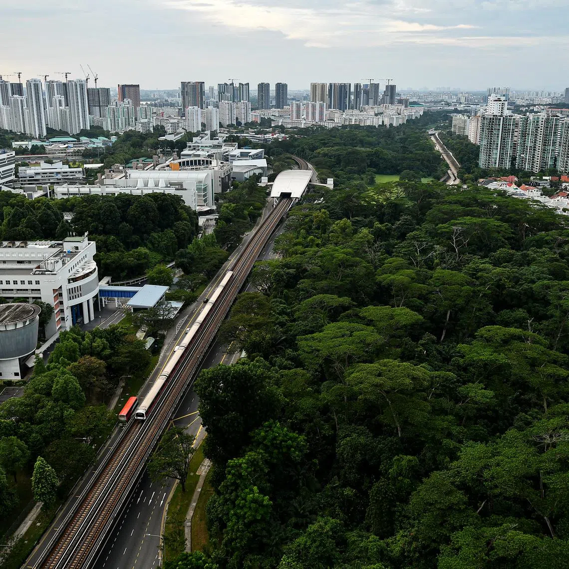 Minister for Sustainability and the Environment Grace Fu spoke of the need to strike a balance among the environment, economy and society.