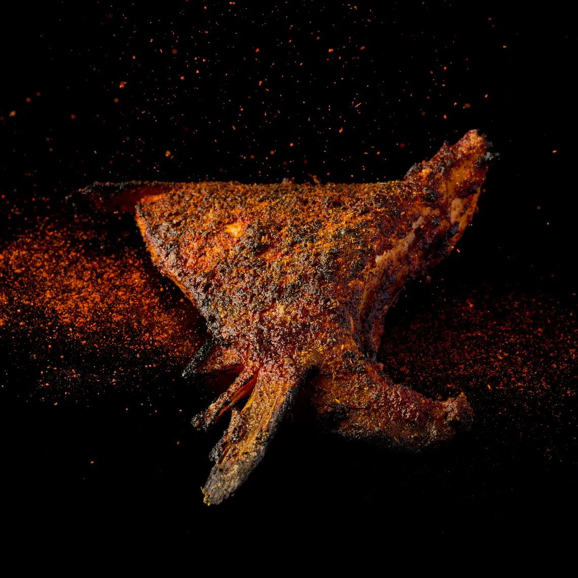 Hamachi collar from Revolver.