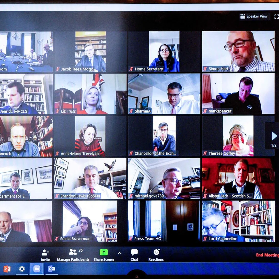 Researchers have found that backgrounds depicting nature were linked with the lowest levels of video-conference fatigue.