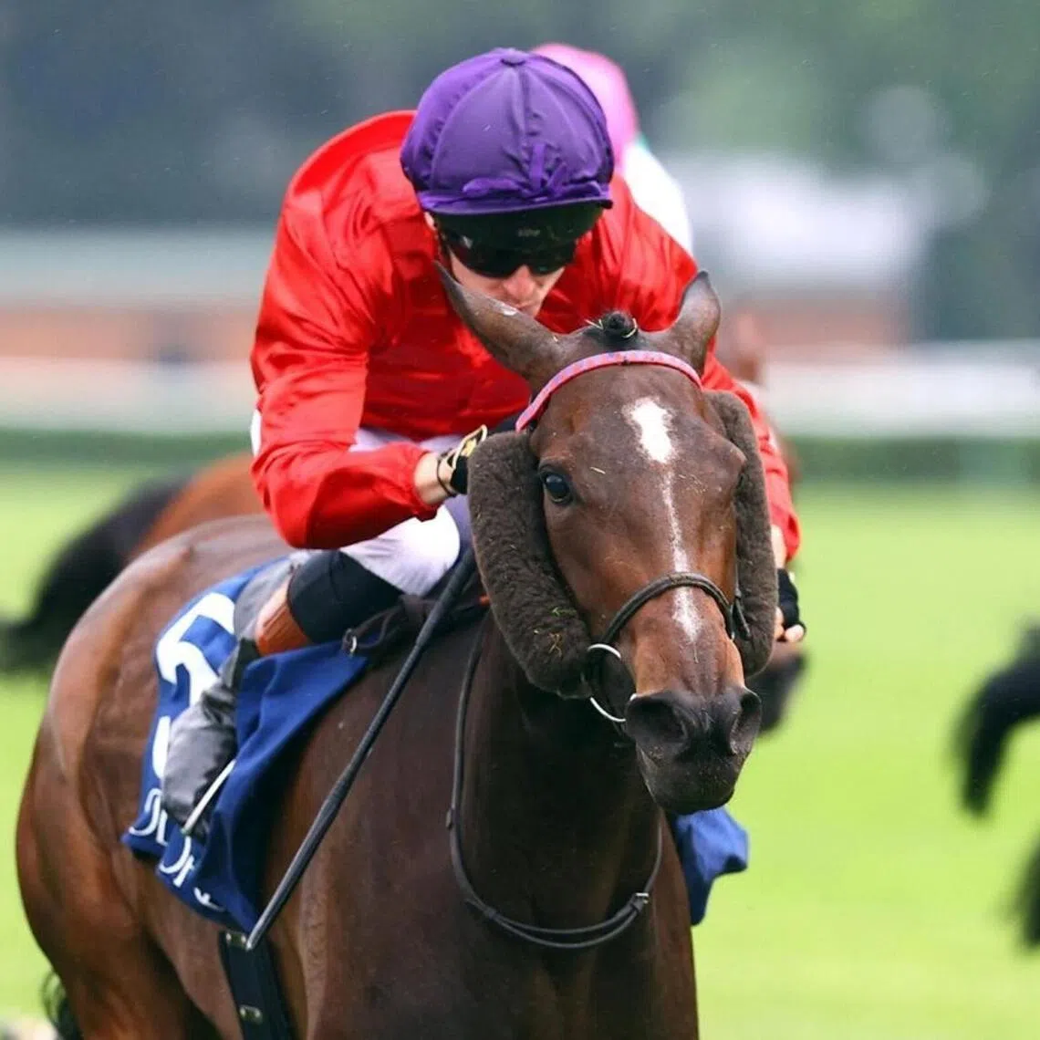 The Yann Barberot-trained Lapotheose (Alexis Pouchin) bringing up the last of her unbeaten sequence of four wins in the Group 2 Prix Saint-Alary (2,000m) at ParisLongchamp on May 10.

PHOTO: SCOOPDYGA
