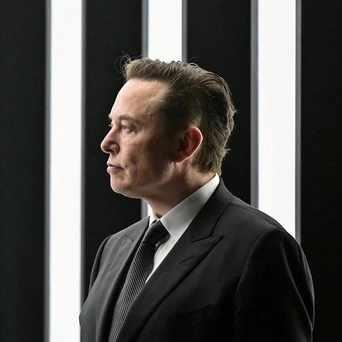 The new site adds to Mr Musk’s online media ecosystem, which coheres with Mr Musk's personal political views.