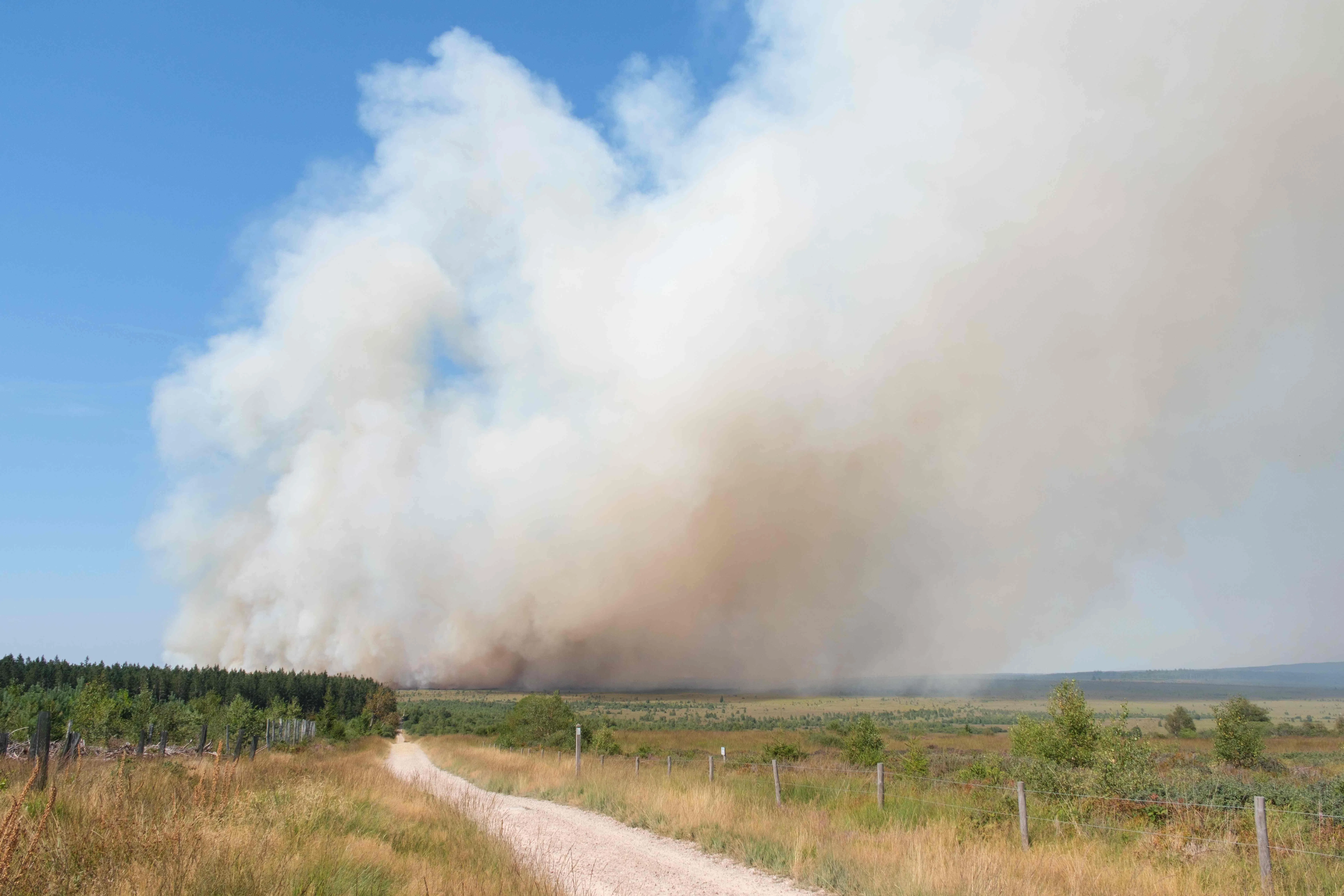 The blaze in the High Fens - Belgium’s largest nature reserve - has been burning since Aug 14.