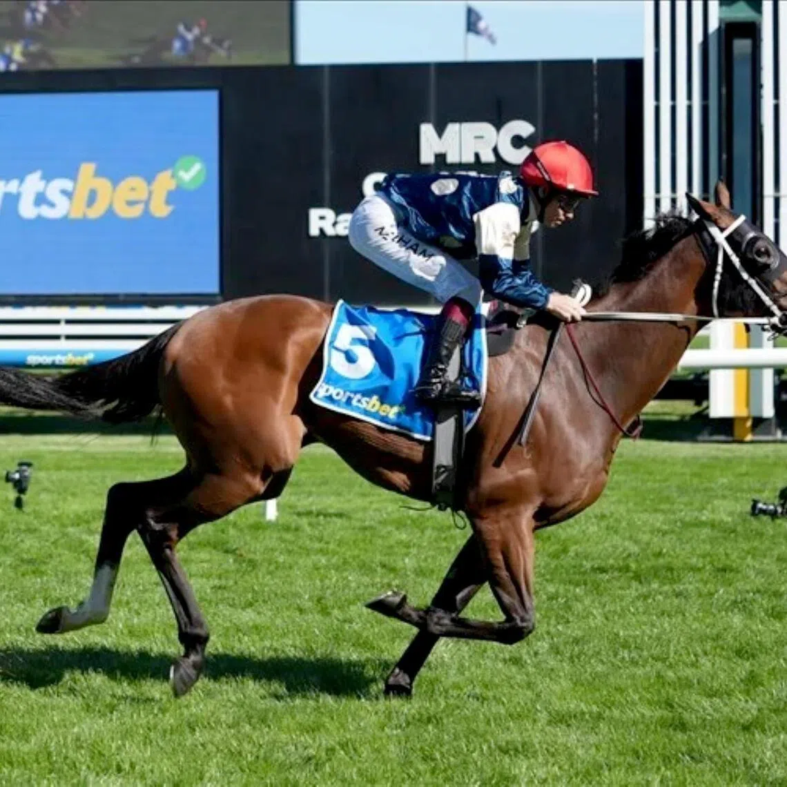 The Chris Waller-trained Birdman (Ben Melham) scoring a relatively easy win in the Group 2 Peter Young Stakes (1,800m) at Caulfield on March 14.