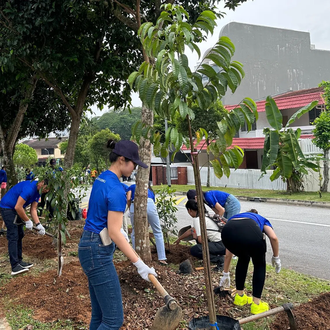 Staff of Allen & Gledhill taking part in a tree planting exercise in September 2023. The law firm has been active in the ESG arena.