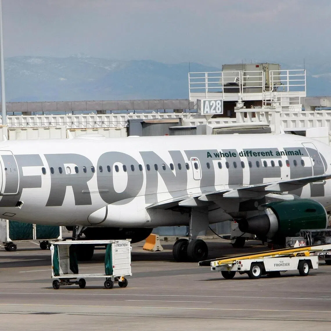 A Frontier plane was taking off for Los Angeles when it hit a pedestrian who had  jumped over the airport's perimeter fence.
