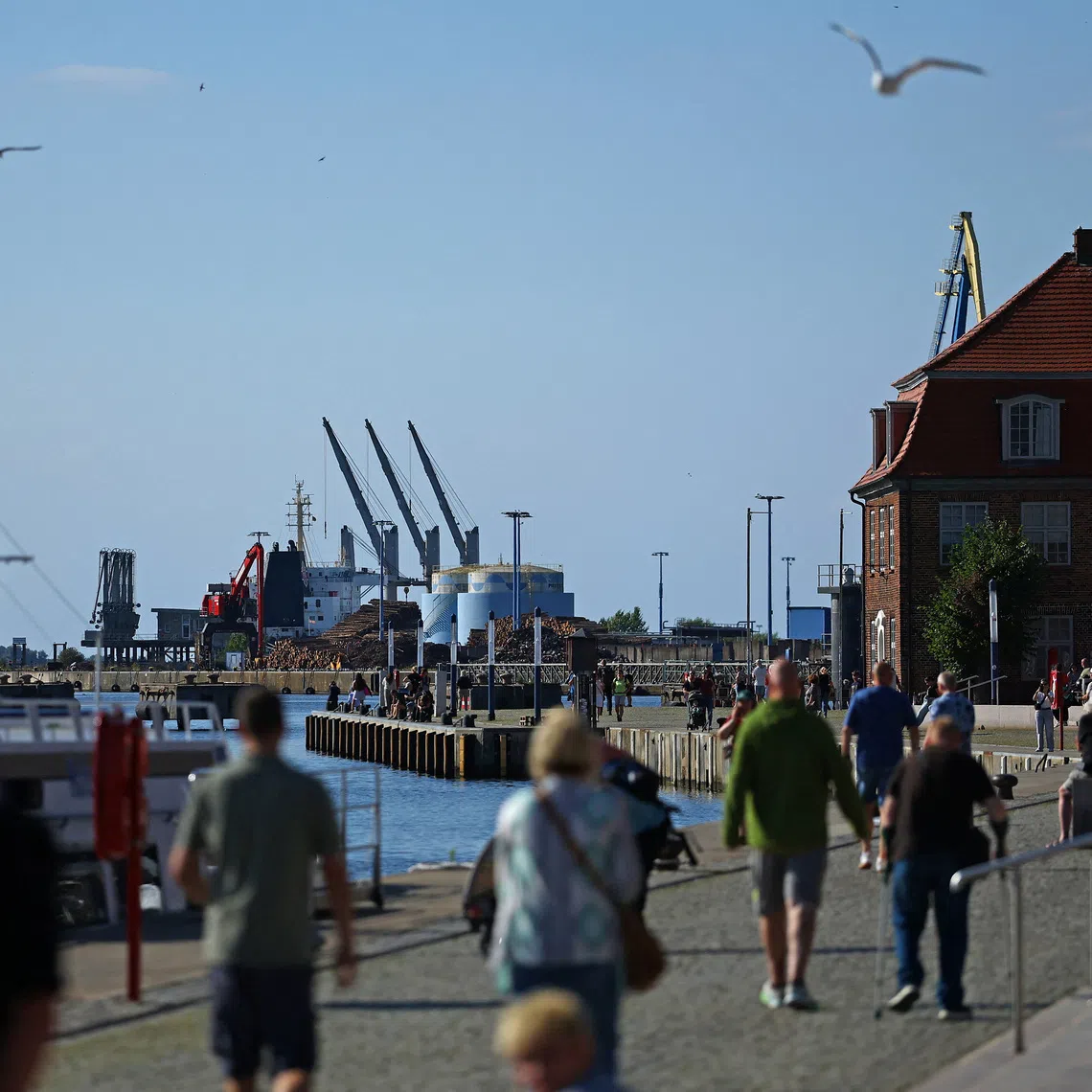 A general view of the harbour of Wismar, Mecklenburg-Western Pomerania, Germany, August 8, 2026.  REUTERS/Lisi Niesner
