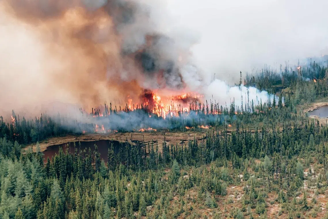 Authorities tallied 677 active fires in the country on Friday, including 386 that were burning out of control.