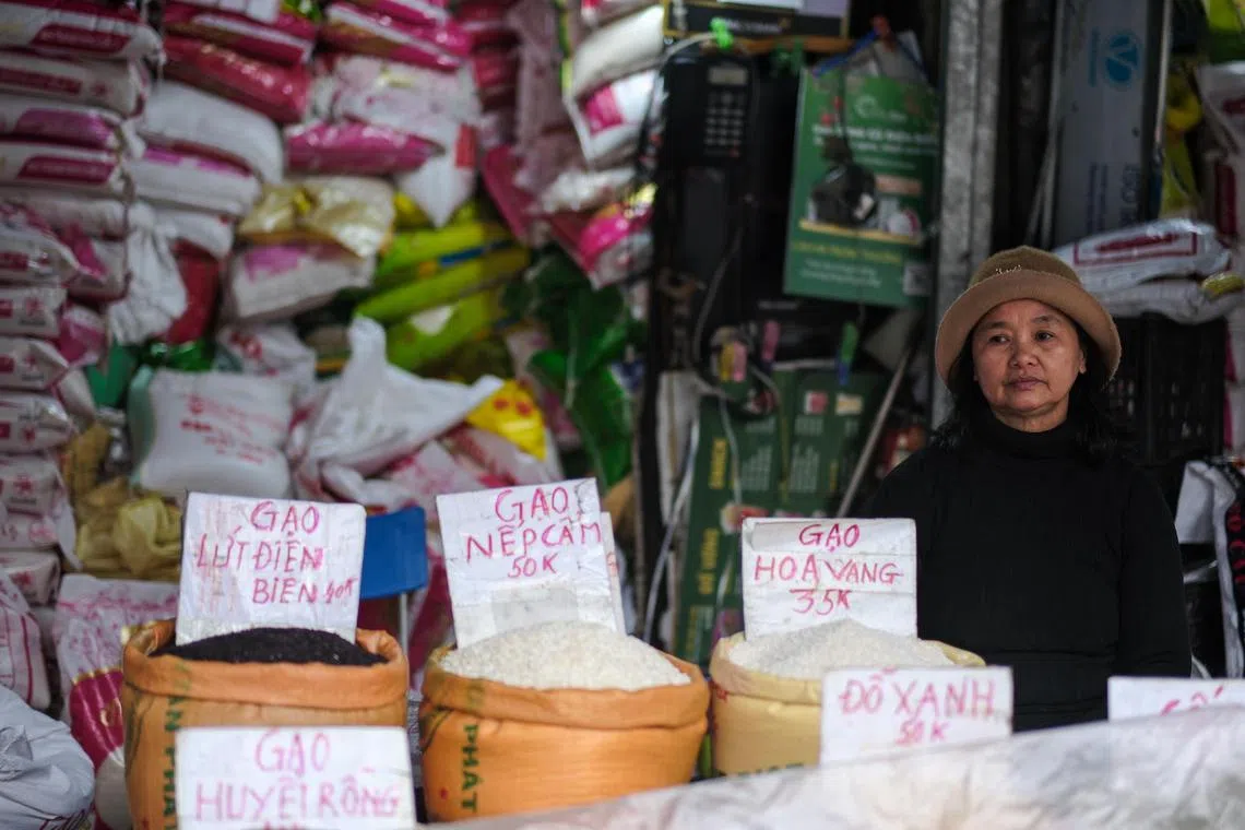 Vietnam posted a record trade surplus with the United States in 2024.