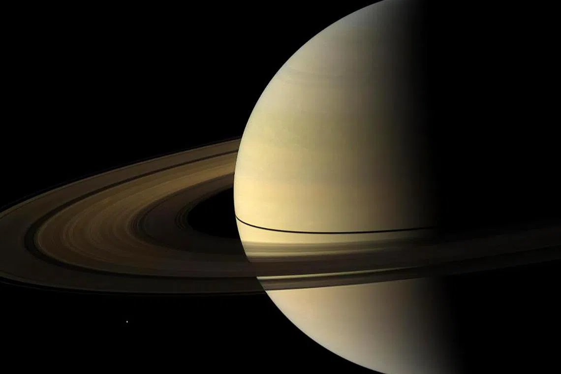 A study, published this week in The Astrophysical Journal, leans into the notion that they are not billions of years old, but were crafted in the recent astronomic past - perhaps by the collision of two modestly sized frost-flecked moons only a few hundred million years ago.