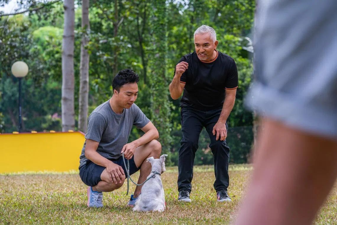 Dog Whisperer Cesar Millan to host private ‘learning experience’ as part of Singapore Pet Festival