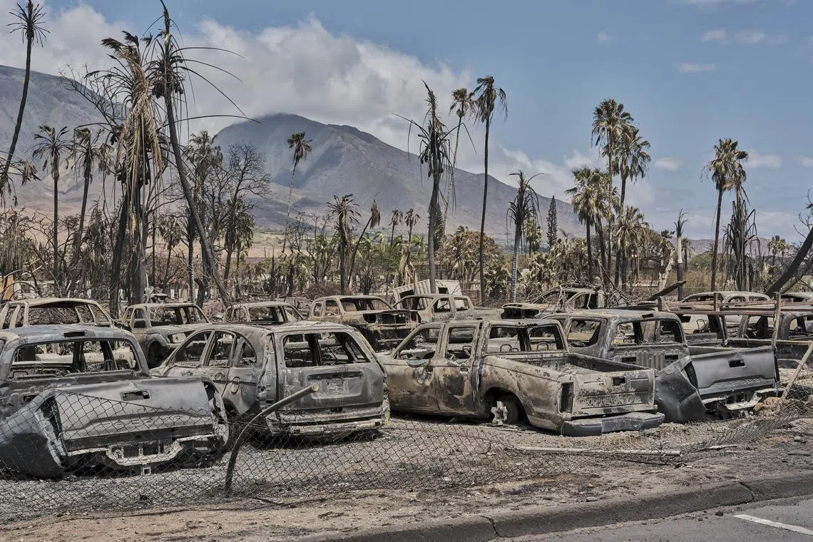 Investigators are still scouring for clues as to what ignited the Maui blaze, which became the deadliest American wildfire in more than a century.
