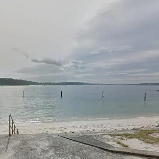 The predator bit the boy, believed to be about 13 years old, in the late afternoon off Shark Beach.