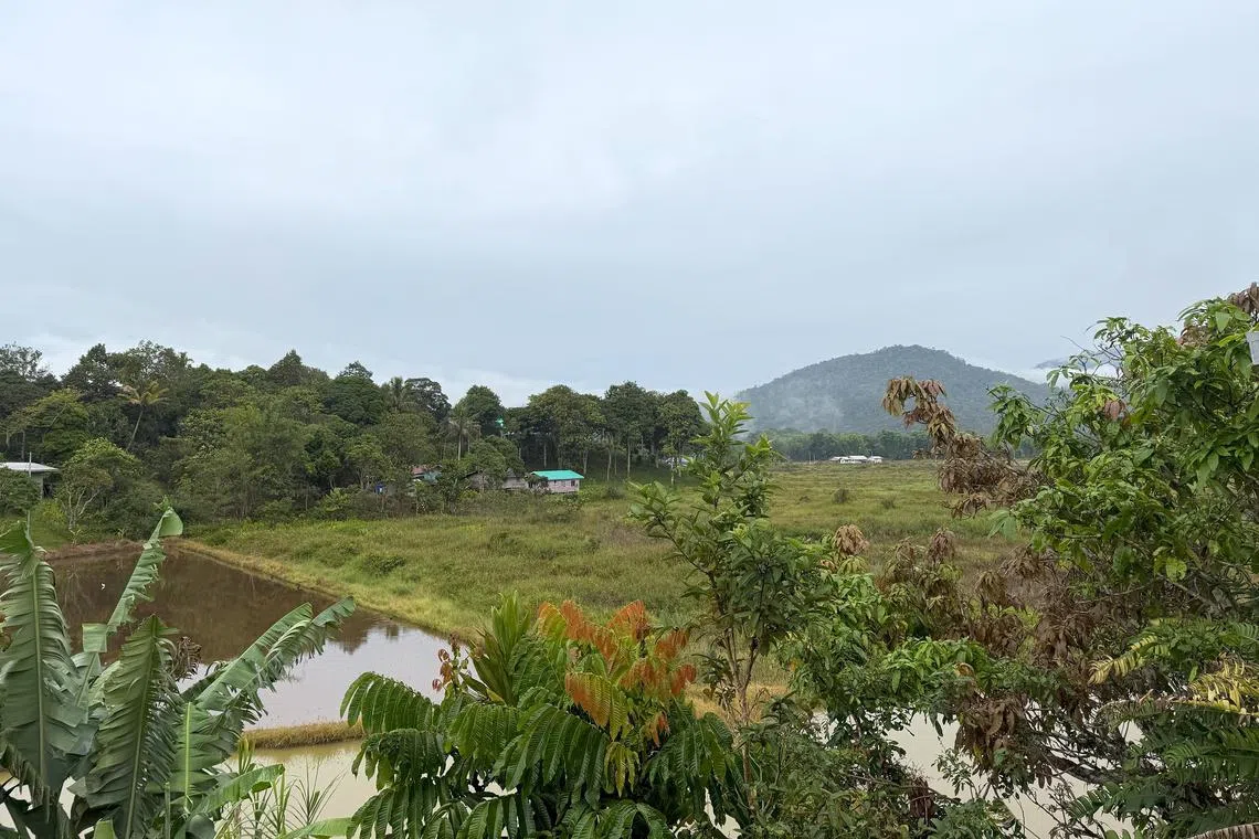 Bario in the Sarawak highlands has a gentle pace.