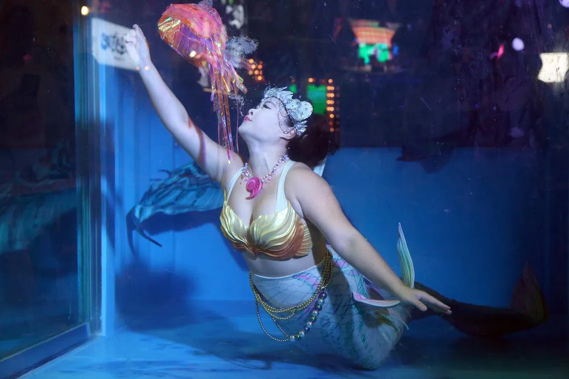 Cosford Container Park makes a splash with live weekend shows. 