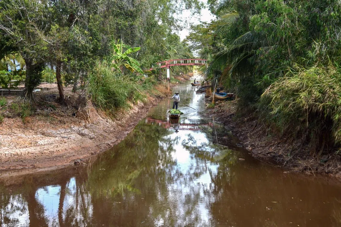Saltwater levels are often higher in the dry season but they are intensifying due to rising sea levels, droughts, tidal fluctuations, and a lack of upstream freshwater.