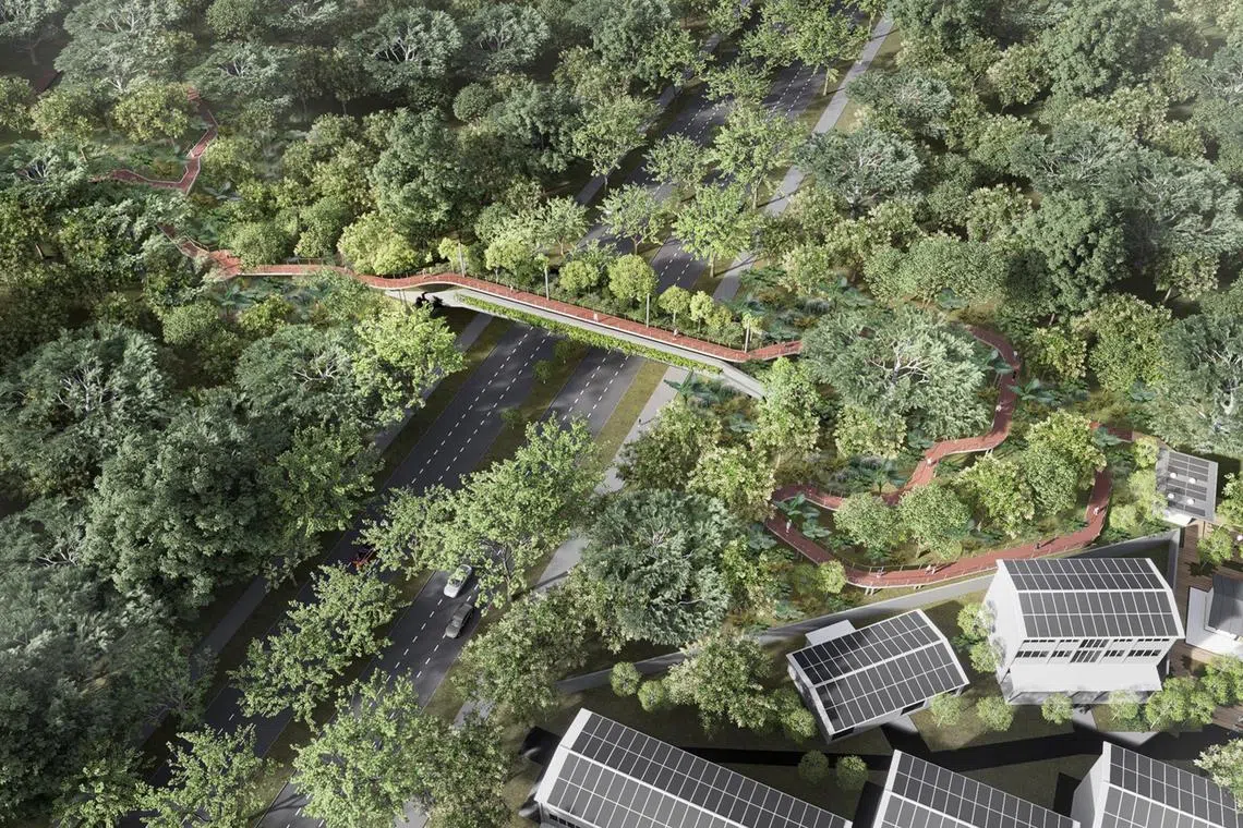 azbridge27 - Artist’s impression of the future eco-pedestrian bridge to built across Upper Bukit Timah Road by 2026, connecting Bukit Batok Nature Park and Bukit Timah Nature Reserve.

Credit: National Parks Board