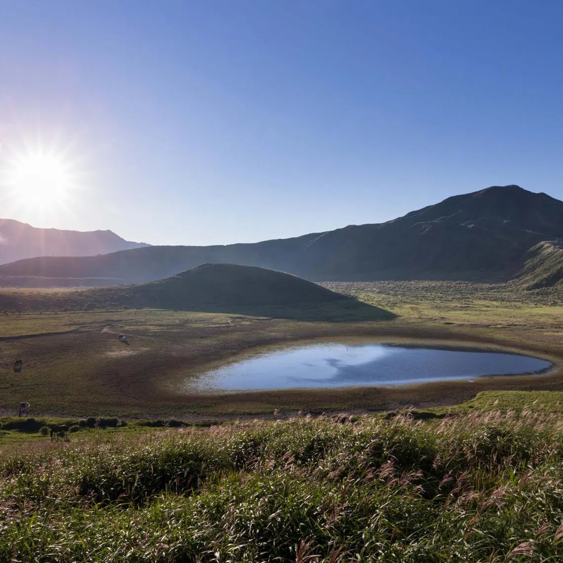 Japan’s weather agency on Aug 14 raised the volcanic alert level for Mount Aso in Kumamoto prefecture to 3 on a five-point scale, calling for entry restrictions to the mountain.