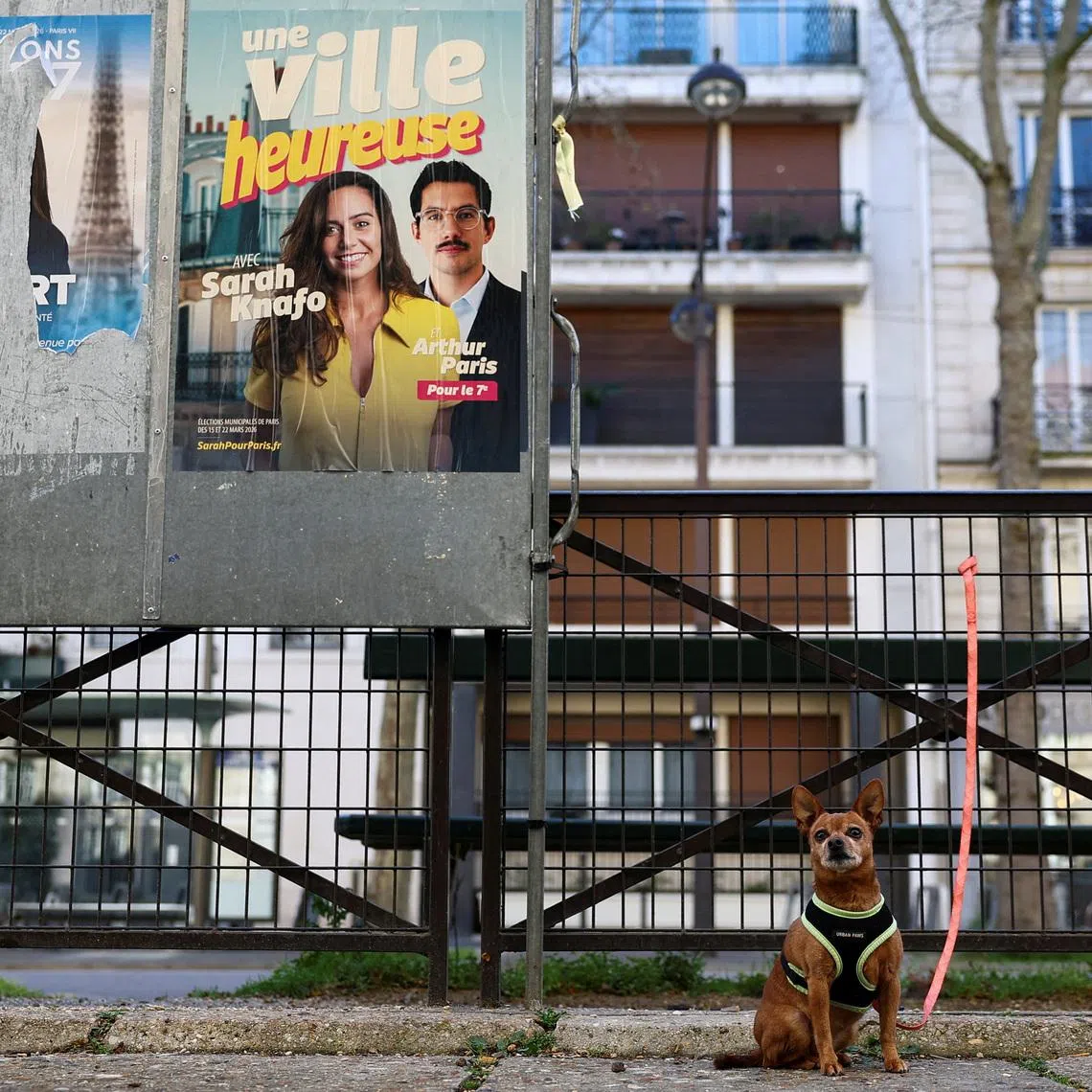 FILE PHOTO: A dog waits outside a polling station for his owner during the first round of the French mayoral election, in Paris, France, March 15, 2026. REUTERS/Gonzalo Fuentes/File Photo