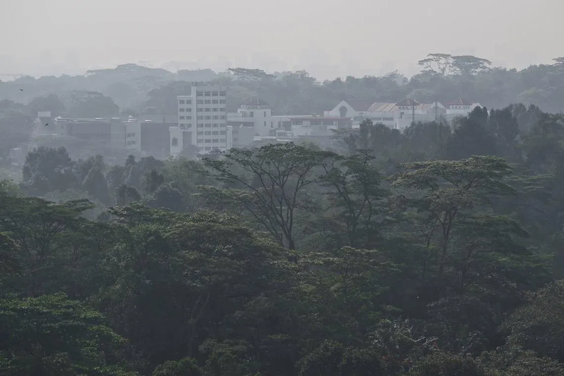 S’pore haze due to particulate matter; situation expected to improve as ...