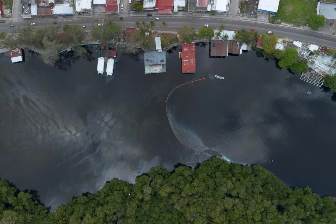 وطن نيوز – يتحمل السكان والحياة البرية على طول ساحل المكسيك وطأة التسرب النفطي لشركة بيميكس