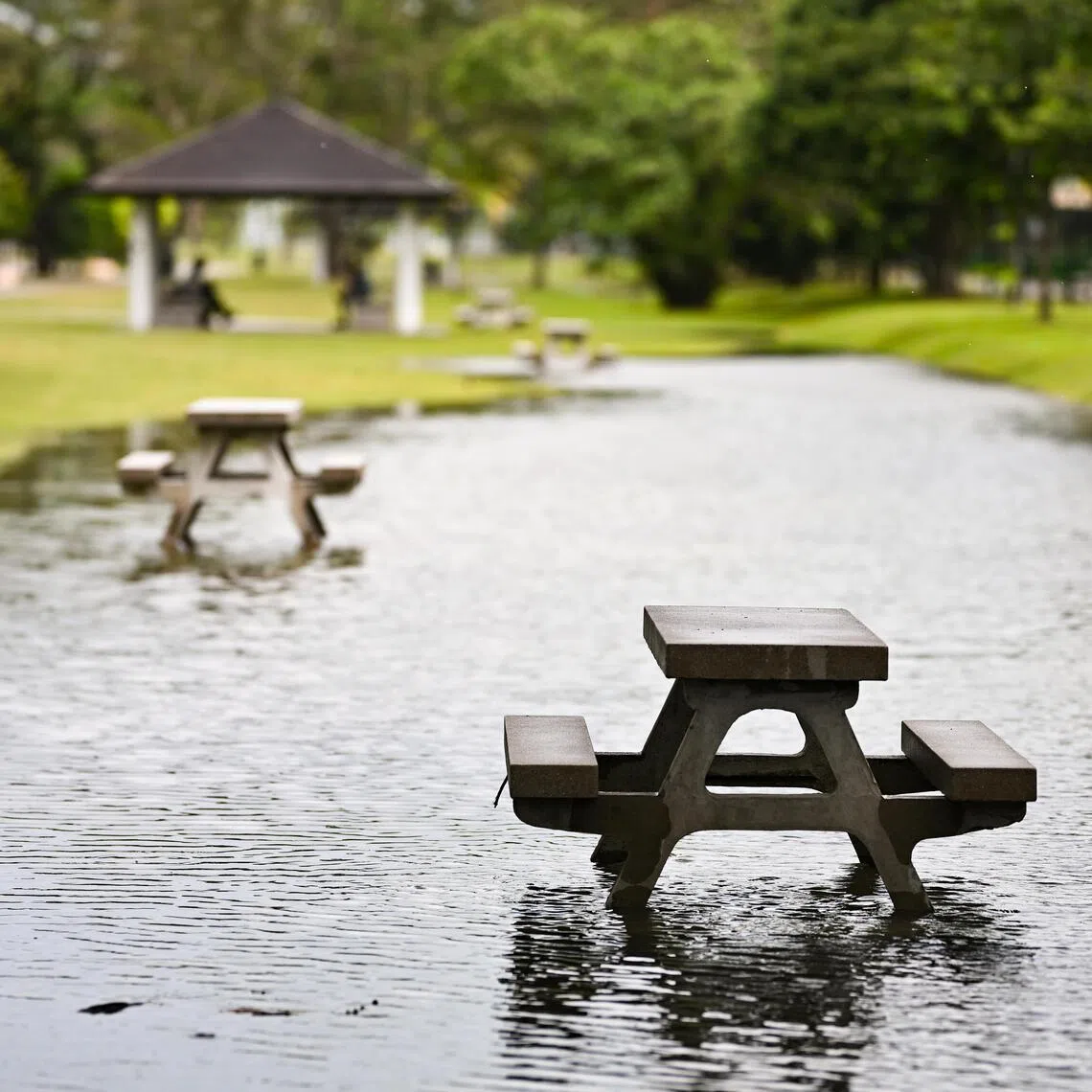 There’s mounting evidence that more frequent extreme weather events do make some things more expensive