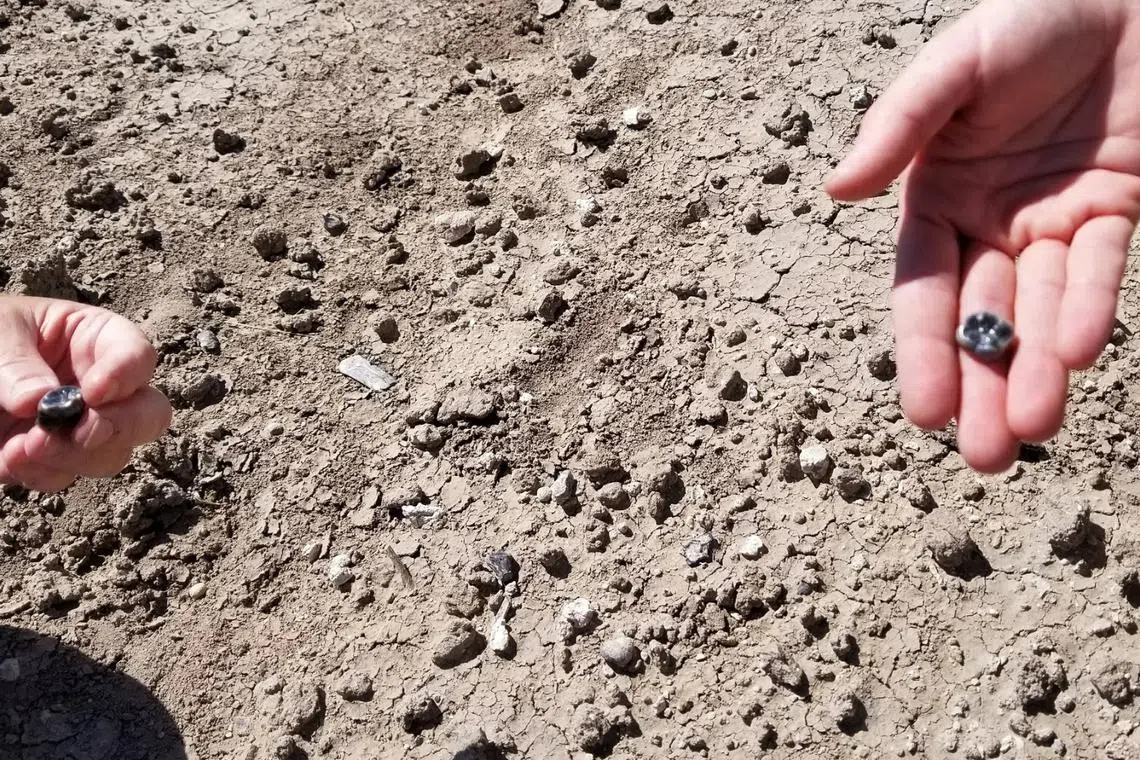 Scientists hold fossilized hominin teeth discovered in the Ledi-Geraru paleoanthropological research area in the Afar Region of northeastern Ethiopia, in this undated handout picture released on August 13, 2025. Amy Rector, Virginia Commonwealth University/Handout via REUTERS