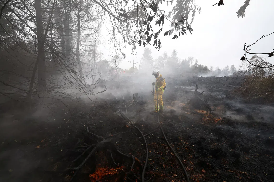 straitstimes.com - Climate damage: The next hit to Europe's public finances