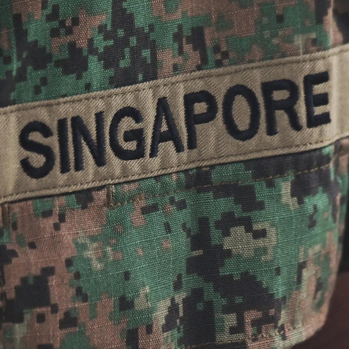 The Asia Times article was edited on Jan 24 to reflect the fact that the writer is currently a full-time National Serviceman, and that it was written before his enlistment.