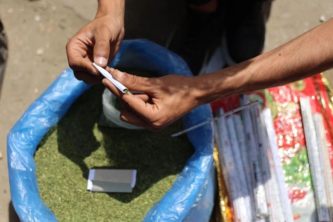 A vendor rolls molokhia leaves, also known as jute mallow, normally used in cooking, into a cigarette at the tobacco market in Gaza City.

