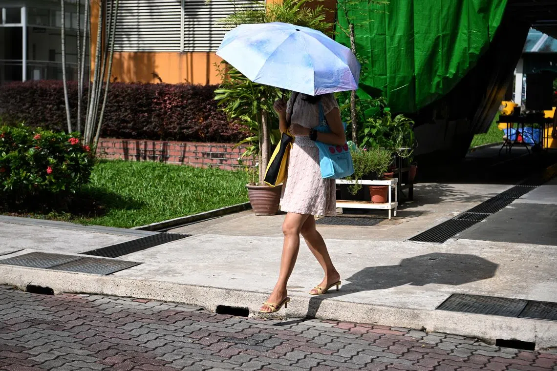 In Singapore, we are experiencing rising sea levels, extreme heat and climate-related health risks, says the writer. 