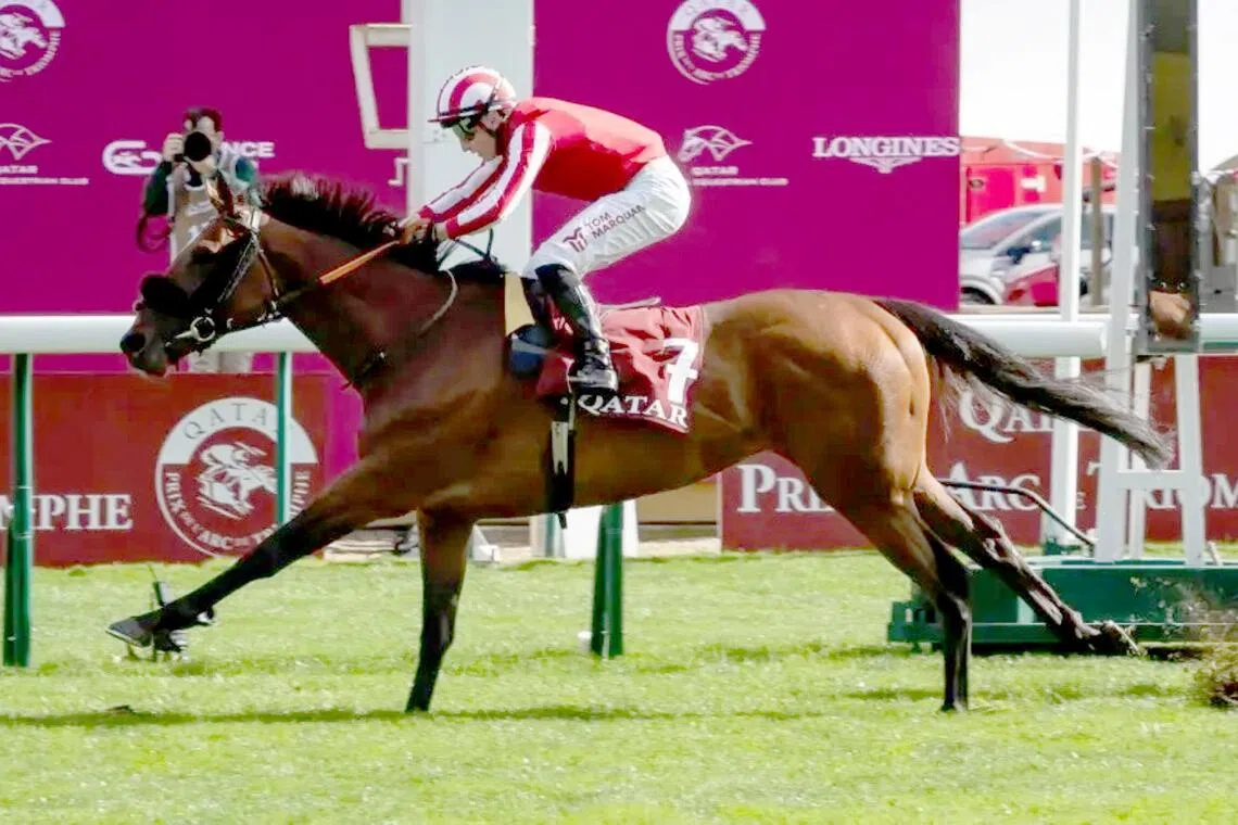 oak25 - The George Scott-trained Caballo De Mar (Tom Marquand) winning the Group 1 Prix du Cadran (4,000m) at ParisLongchamp on Oct 4.