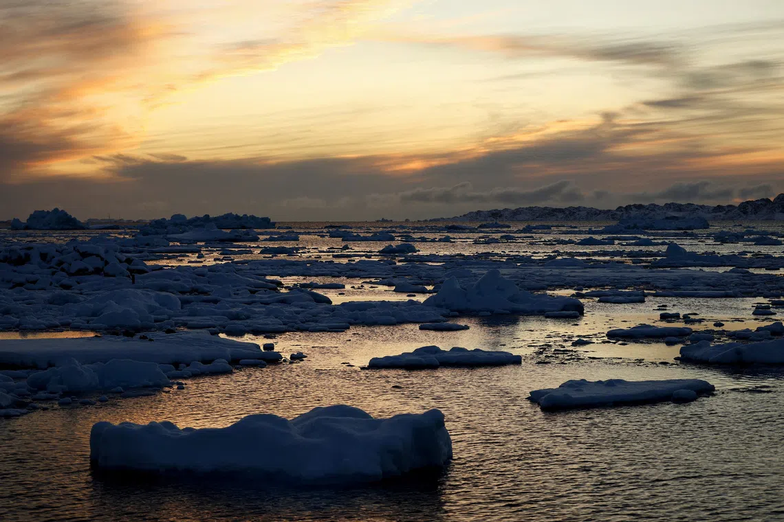 Ice floats in Nuuk’s old harbor, Greenland, on Feb 10, 2025.