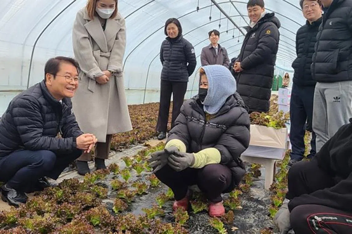 mcvisa - Minister of Employment and Labour Lee Jung-sik (extreme left) talking to two Cambodian migrant workers (both squatting and wearing headgear) during a site visit to a farm in Pocheon city, located about 40km northeast of Seoul, on Jan 31, 2023.



Credit: South Korea's Ministry of Employment and Labour