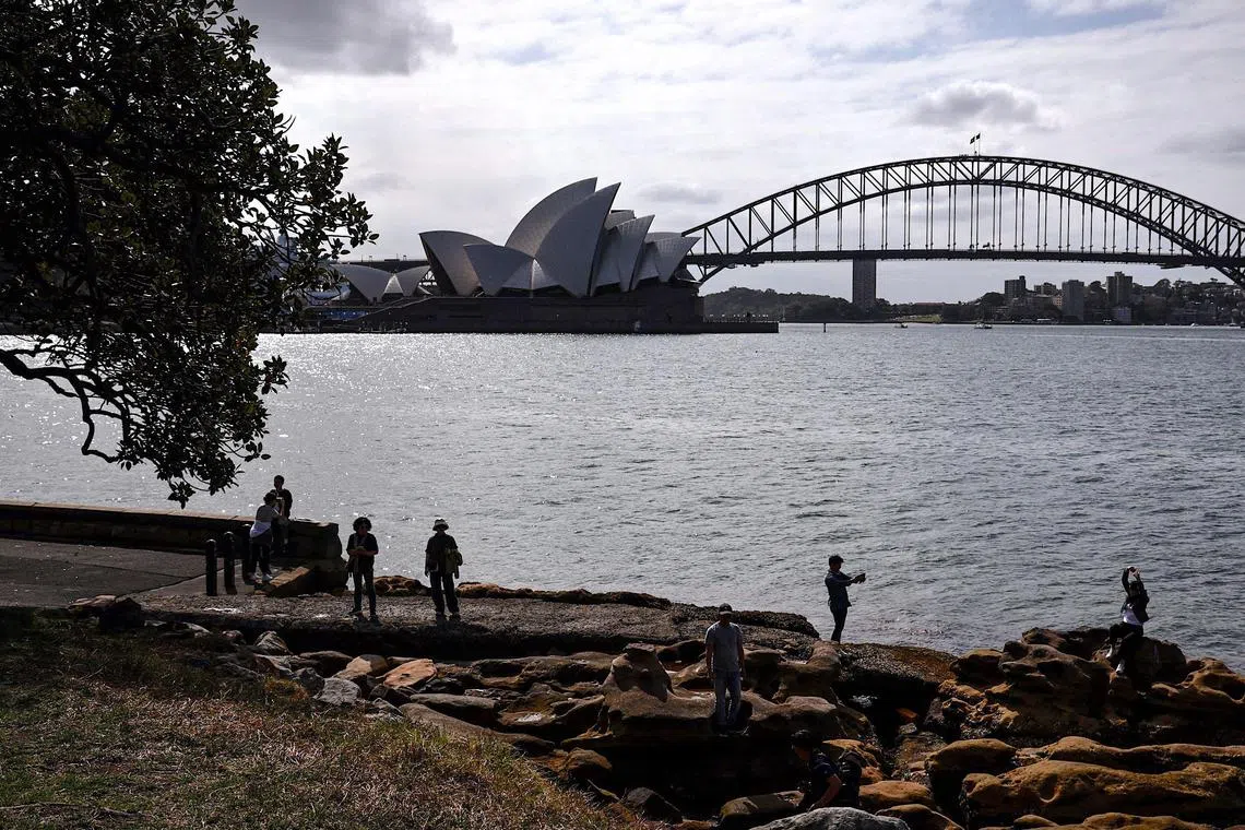 The shark struck as the woman swam off a wharf at Elizabeth Bay, less than 2km from the iconic Sydney Opera House.