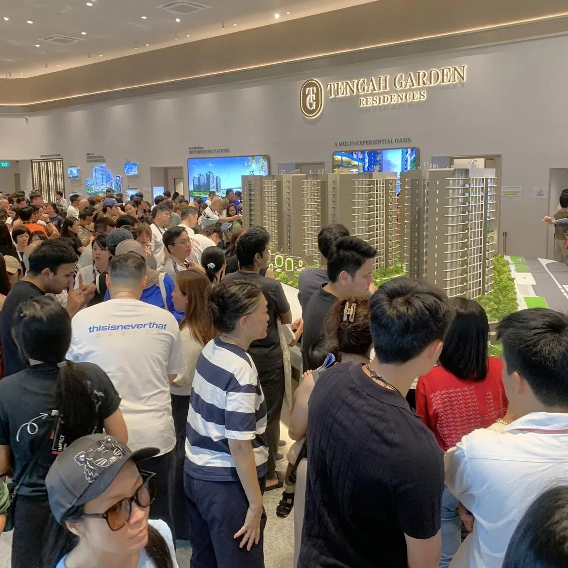 This year’s best performer to date is Tengah Garden Residences, which sold 99.1 per cent or 855 units of its 863-unit project within the launch month.