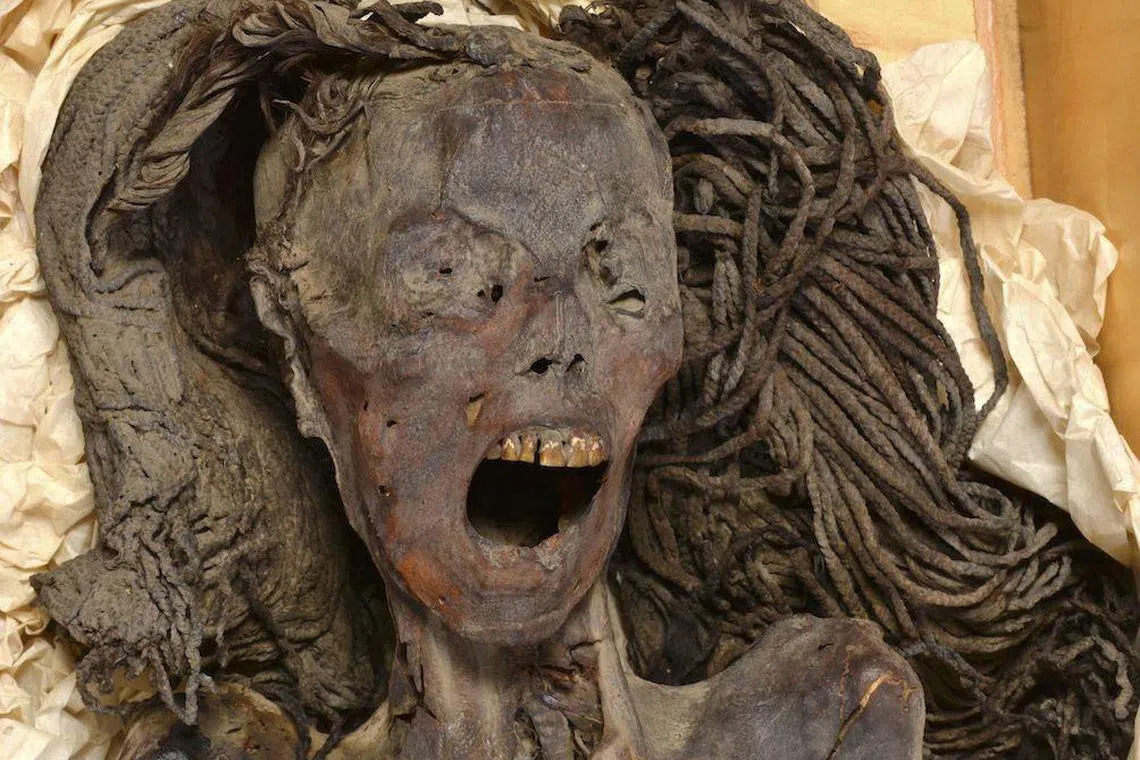 The face of the "Screaming Woman" mummy that was discovered in 1935 at Deir Elbahari near Luxor. The mummy dates to about 1500 BC during ancient Egypt's New Kingdom period.