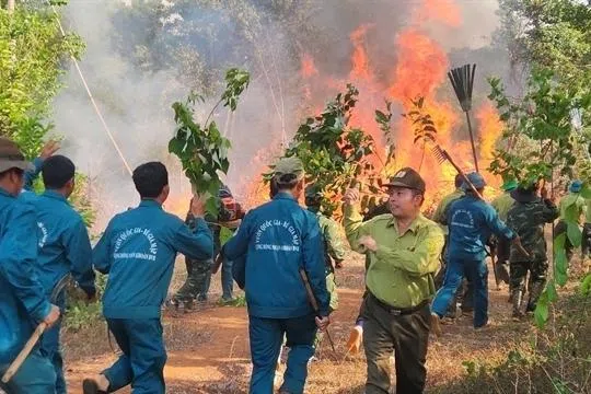 A forest fire prevention drill at Bu Gia Map National Park in the southern province of Dong Nai, as prolonged extreme heat heightens wildfire risks to red alert levels. 