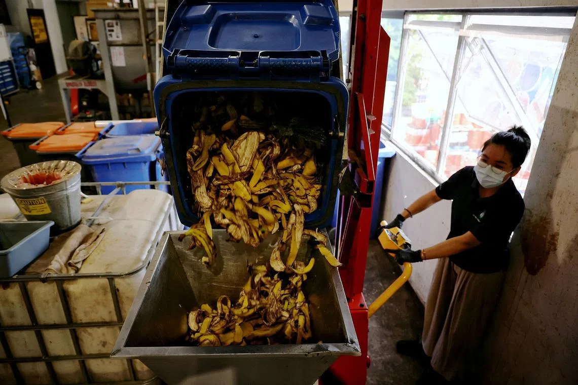 Small bugs, big appetites: The tiny army upcycling Singapore’s food ...